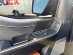 2025 F-150 Thumbnail 9