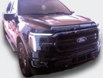 2025 F-150 Thumbnail 13