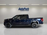 2025 F-150 Thumbnail 4