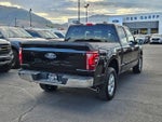 2025 F-150 Thumbnail 3