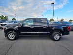 2025 F-150 Thumbnail 6