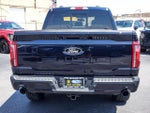 2026 F-150 Thumbnail 6