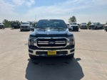 2026 F-150 Thumbnail 10