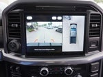 2025 F-150 Thumbnail 8