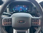 2025 F-150 Thumbnail 19