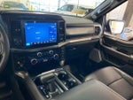 2025 F-150 Thumbnail 13