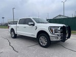 2024 F-150 Thumbnail 1
