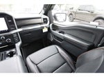 2024 F-150 Thumbnail 4
