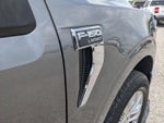 2025 F-150 Thumbnail 13