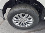2025 F-150 Thumbnail 17