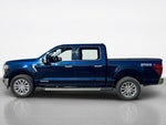 2025 F-150 Thumbnail 6