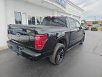 2025 F-150 Thumbnail 4