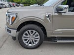2025 F-150 Thumbnail 11