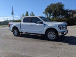 2025 F-150 Thumbnail 2
