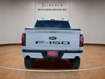 2024 F-150 Thumbnail 6