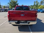 2024 F-150 Thumbnail 4