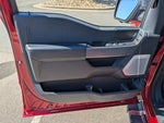 2024 F-150 Thumbnail 15