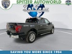 2024 F-150 Thumbnail 10