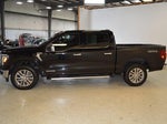 2025 F-150 Thumbnail 6