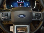 2025 F-150 Thumbnail 18