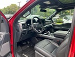2025 F-150 Thumbnail 20