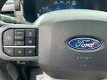 2025 F-150 Thumbnail 23