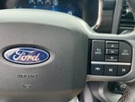 2025 F-150 Thumbnail 24