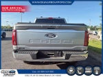 2024 F-150 Thumbnail 4