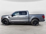 2024 F-150 Thumbnail 8