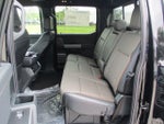 2025 F-150 Thumbnail 22