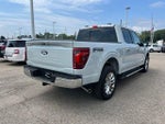 2024 F-150 Thumbnail 4