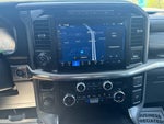 2024 F-150 Thumbnail 18