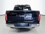 2025 F-150 Thumbnail 5