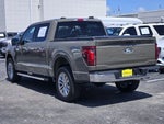 2025 F-150 Thumbnail 6