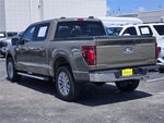 2025 F-150 Thumbnail 6