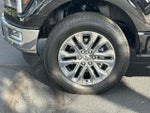 2024 F-150 Thumbnail 6