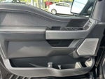 2024 F-150 Thumbnail 8