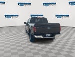2024 F-150 Thumbnail 7
