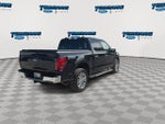 2024 F-150 Thumbnail 8