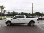 2025 F-150 Thumbnail 8