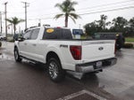 2025 F-150 Thumbnail 10