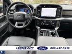 2025 F-150 Thumbnail 13