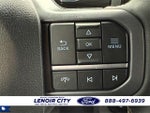 2025 F-150 Thumbnail 24