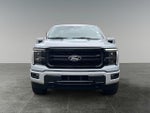 2025 F-150 Thumbnail 2