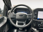 2025 F-150 Thumbnail 10