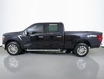 2024 F-150 Thumbnail 16