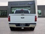 2024 F-150 Thumbnail 6