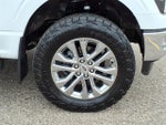 2024 F-150 Thumbnail 9