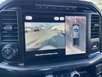 2024 F-150 Thumbnail 11