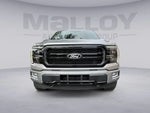 2024 F-150 Thumbnail 7